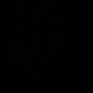 Meet your Posher, Paige